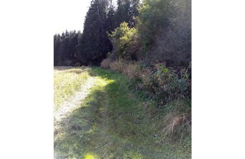 Oak Comfortable Holiday Residence - Foto 31