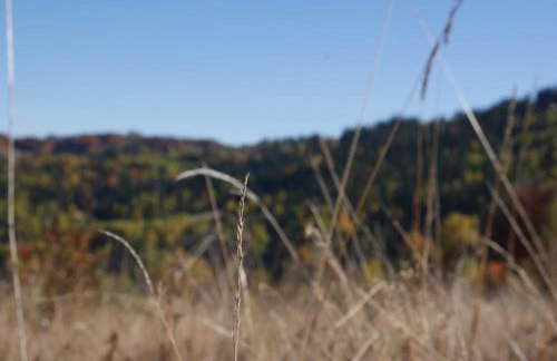 Apartamenty przy Hotelu Żywieckim - Foto 37