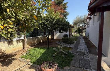 House with lake and water lilies - Foto 13