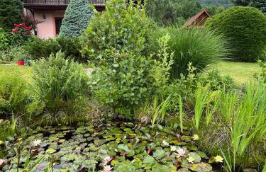 LAWENDOWA PRZYSTAŃ - dom nad rzeką - Brenna, 10 osób, sauna, balia z jacuzzi, ogród, plac zabaw - Foto 80