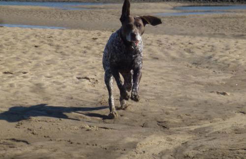 AnchorageWells Harbour Apartment - Foto 27