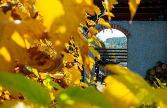 Chata drewniana Stefanówka - Foto 69