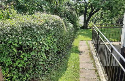 Ferienwohnung Eckhardt - Foto 19