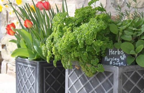 Stone Mouse Cottage - Foto 16