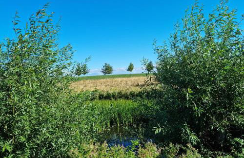 Ostsee-Wellnesslandhaus mit Sauna, Jacuzzi, Innenwhirlpool - Foto 20