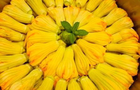 Gerani Studios - Foto 35