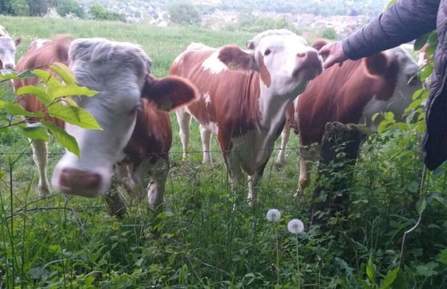 Holiday Apartment Lohr-drewes 2 - Foto 16