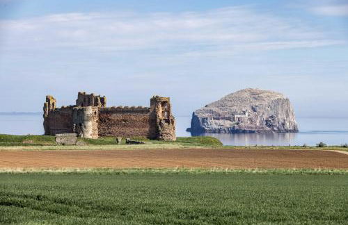 Seacliff Cabin - Foto 4