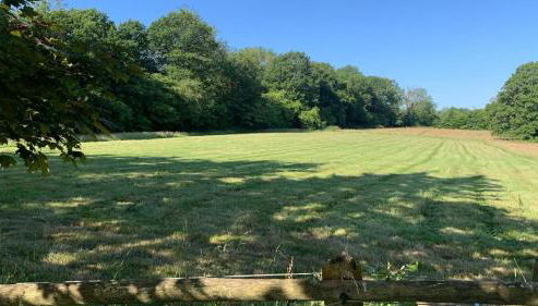 Spirit Lake - Foto 2, Garden