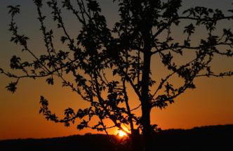 Gîte du Four à pain - Foto 23