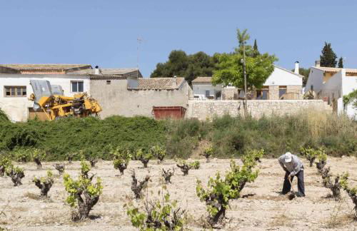 Villa Serrano, La casa rural de los mil suelos - Foto 54