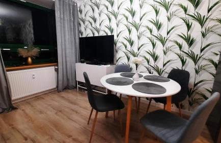 Palmowy Zakątek 2 pokoje dla rodziny Apartament Deluxe - Foto 4
