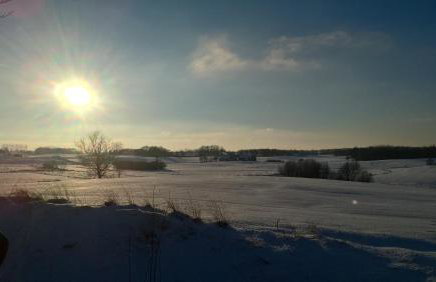 Jabłkowo-na skraju Puszczy Boreckiej ŚNIADANIA W CENIE - Foto 66