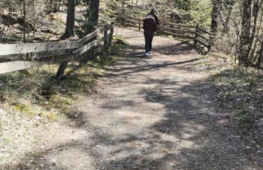 Appartement 8 couchages 45 m2 tout confort à la foux d'allos - Foto 20