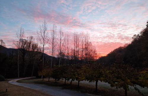 Can Torrotes - Foto 55