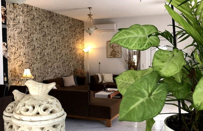 Rosy s House With all Amenities Near Chania - Foto 9