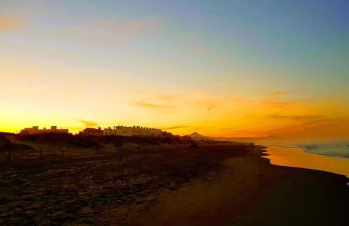 Apartamento con piscina en Oliva Nova - Foto 33