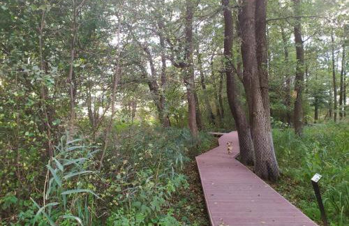 Apartament "Przy Jeziorku" - Foto 37