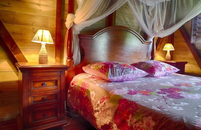 Le Parc aux Orchidées - Foto 8