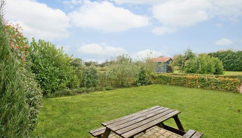 Oregano - E4483 - Foto 5, Garden