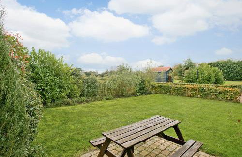 Oregano - E4483 - Foto 5