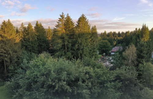 Harz High End 4 und 5 Sterne DTV Apartments - Photo 65