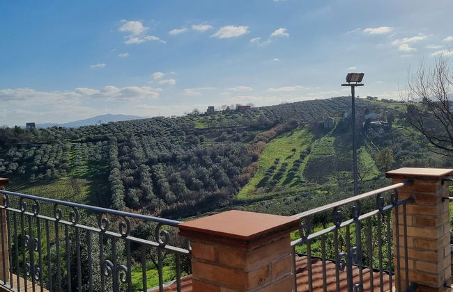 La Vigna di Ranco Ltd N3352 - Foto 9