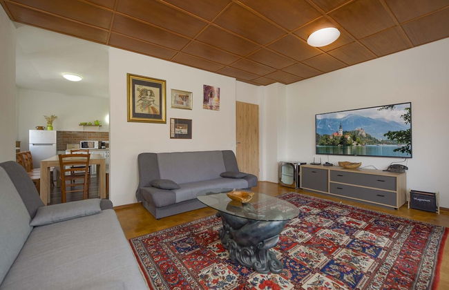 Apartments Rikli Rodine near Bled - Foto 73