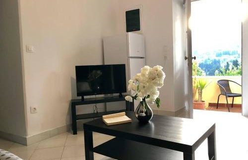 Tranquil Studio Andros - Foto 8