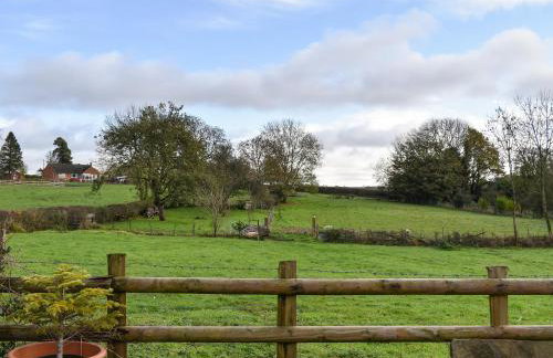 Swallows - Uk41742 - Foto 14