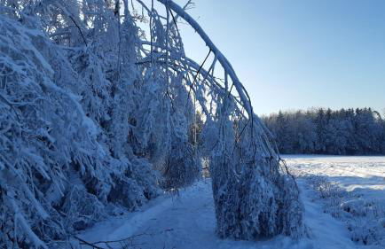 Ferienwohnung Reißmann - Foto 34