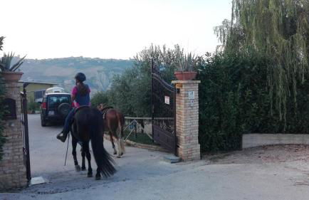 Casale Vittoria Atri - Foto 30