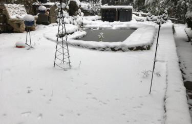 La Huerta de Chocolate Mínimo 2 años larga duración - Foto 1