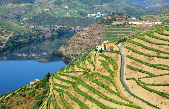 Quinta da Veiga - Foto 36