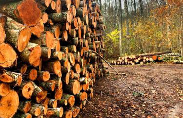 Apartament Kalimera - Foto 67