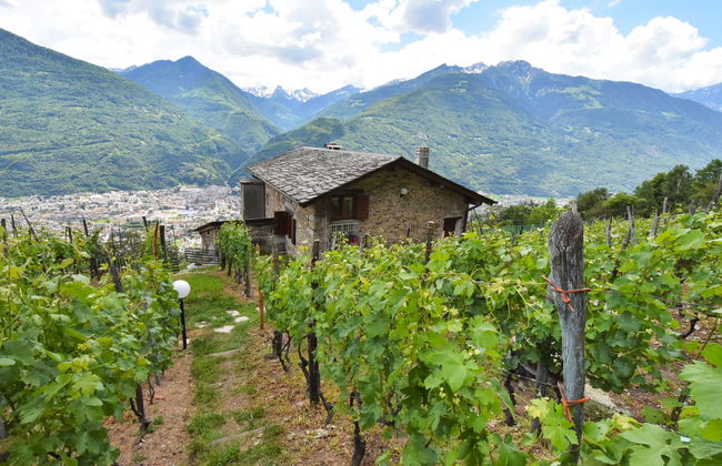 Rustico Rebustella - Foto 30