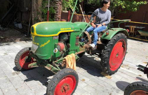 Ferienbauernhaus New Style - Foto 70