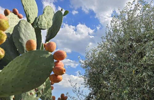 Casa Vacanze Maurella - Photo 14