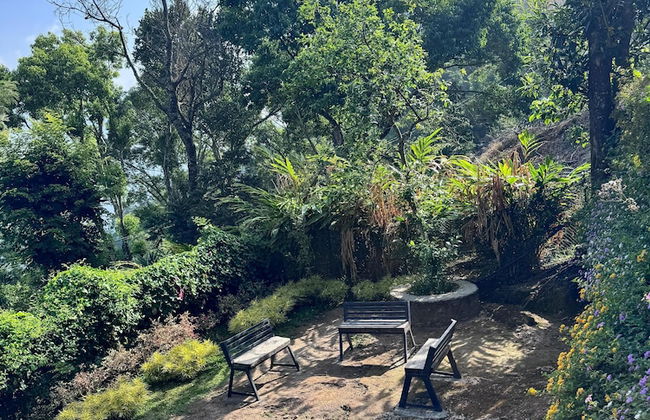 Hilltop Munnar by Fracspace - Foto 17