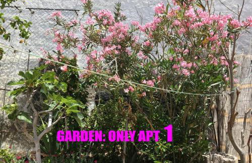 CASA LAS PLAYITAS -CLP- BEST SEA VIEW - In 1 Minute Ocean - Photo 9