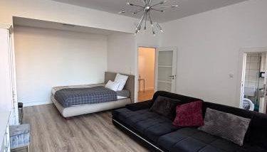 Großes, helles 1-ZimmerApartment bis zu 3 Personen - Foto 4