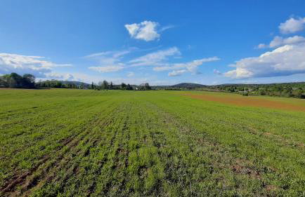 Tiny House Grabovac - Foto 43