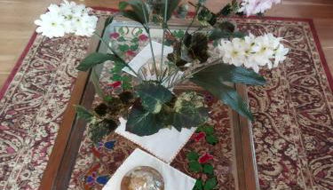 Penelope Elafotopos - Foto 5