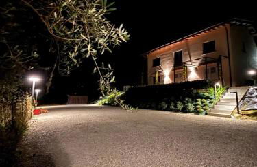 Eri tra gli Ulivi - Photo 11