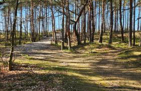 Domki U Sieronia - Foto 33