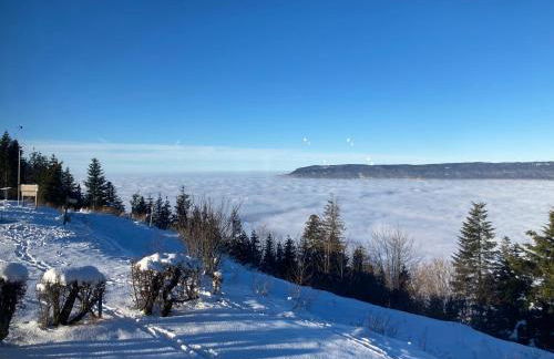 Chalet Le Bisolet - Foto 19