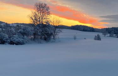 Ferienwohnung Mohr - Foto 30