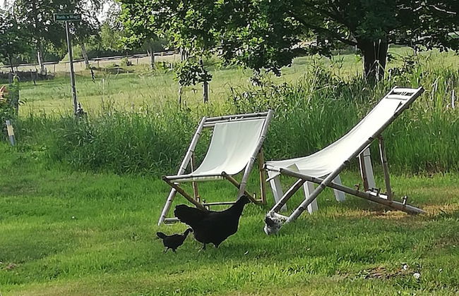 Buntes Moor - Foto 30