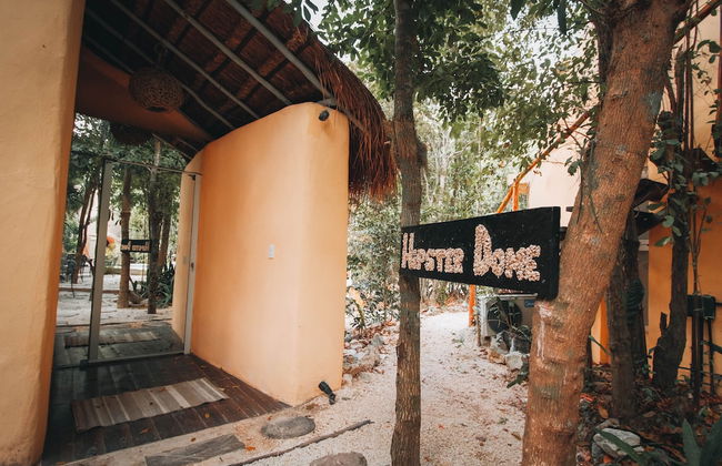 Hotel Santuario Ekumal by Bossh! Hotels - Photo 22