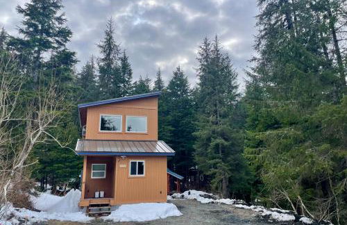 Girdwood Gem - Foto 2